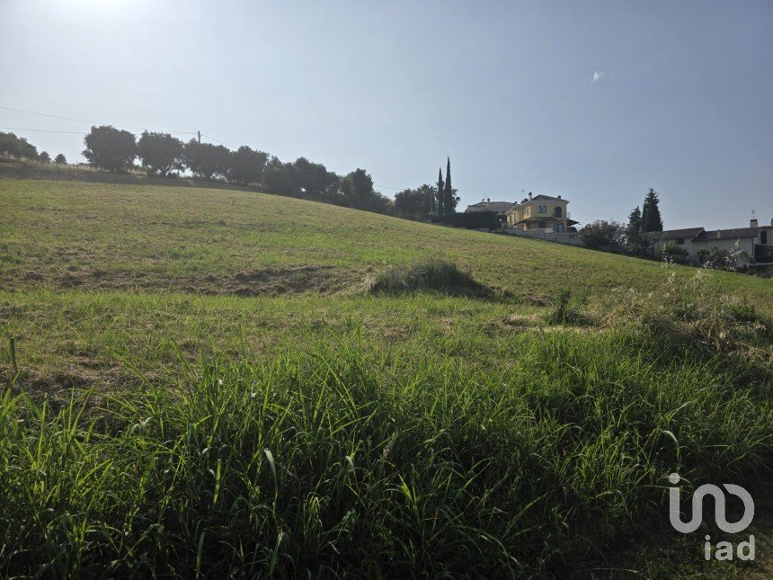 Terreno agricolo di 12.280 m² in San Benedetto del Tronto (63074)