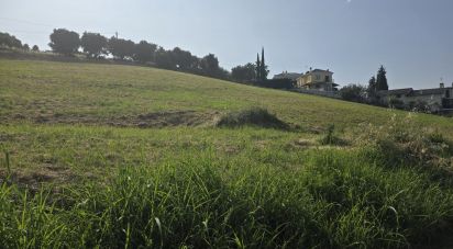 Terreno agricolo di 12.280 m² in San Benedetto del Tronto (63074)