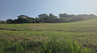 Terreno agricolo di 12.280 m² in San Benedetto del Tronto (63074)