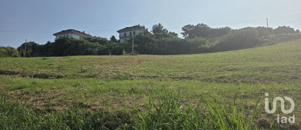 Terreno agricolo di 12.280 m² in San Benedetto del Tronto (63074)