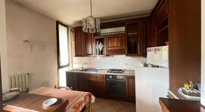 Trilocale di 90 m² a Mirandola (41037)