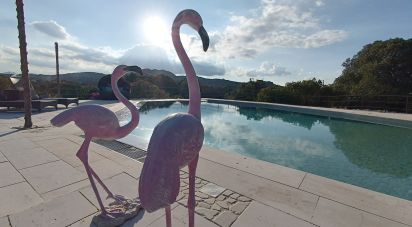 Casa indipendente / Villa 10 locali di 220 m² in Arzachena (07021)