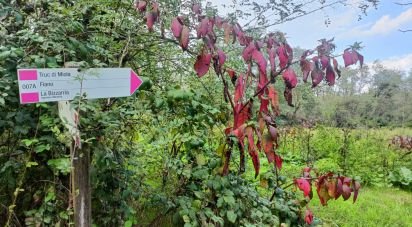 Terreno di 1.500 m² in La Cassa (10040)