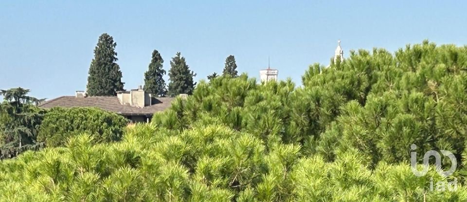 Apartment 0 rooms of 160 m² in Firenze (50125)