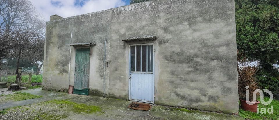 Monolocale di 74 m² a Portomaggiore (44015)