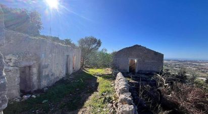 Terreno agricolo di 130.000 m² in Comiso (97013)