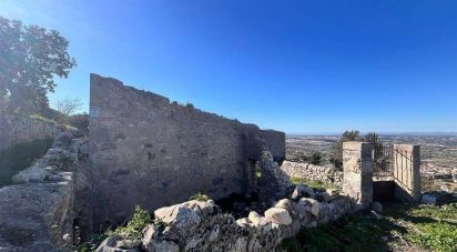 Terreno agricolo di 130.000 m² in Comiso (97013)