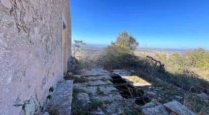 Terreno agricolo di 130.000 m² in Comiso (97013)