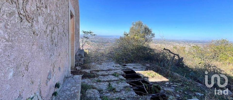 Farm land of 130,000 m² in Comiso (97013)