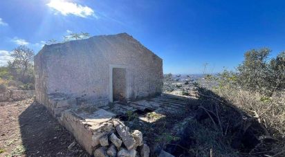 Terreno agricolo di 130.000 m² in Comiso (97013)