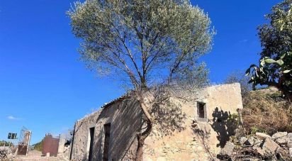 Terreno agricolo di 130.000 m² in Comiso (97013)