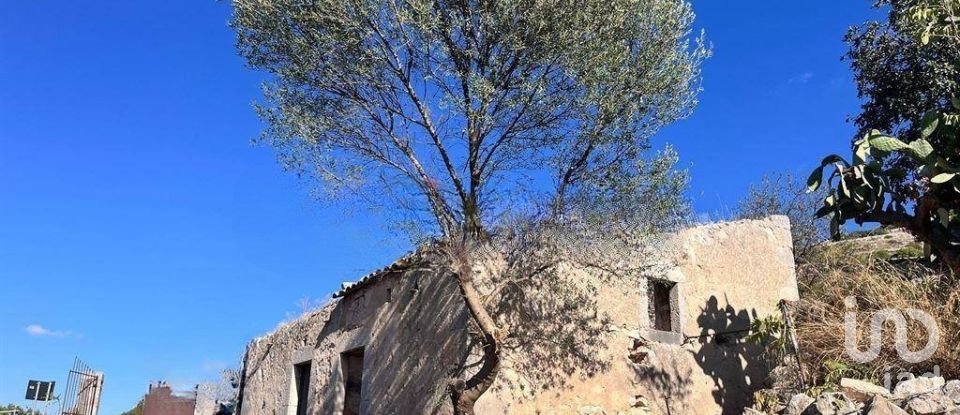 Farm land of 130,000 m² in Comiso (97013)