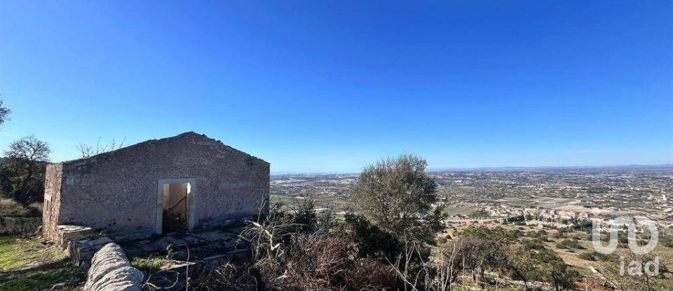 Farm land of 130,000 m² in Comiso (97013)