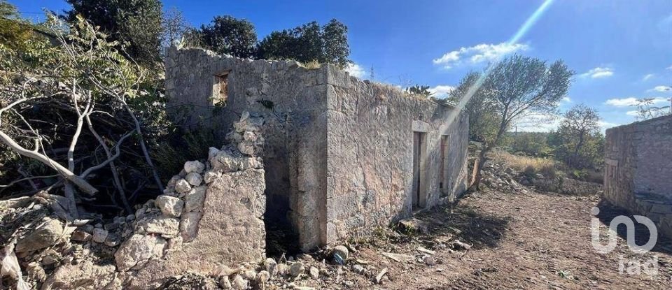 Farm land of 130,000 m² in Comiso (97013)