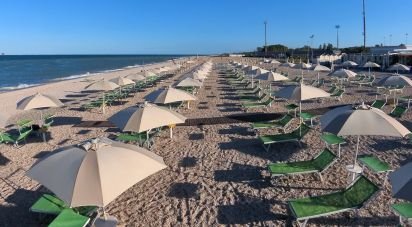 Negozio / locale commerciale di 0 m² in Civitanova Marche (62012)