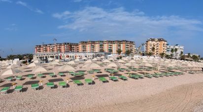 Shop / premises commercial of 0 m² in Civitanova Marche (62012)