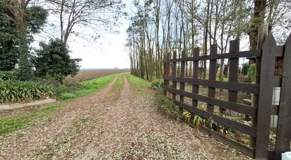 House 8 rooms of 220 m² in Villanova Marchesana (45030)