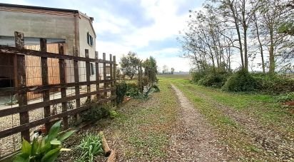 House 8 rooms of 220 m² in Villanova Marchesana (45030)