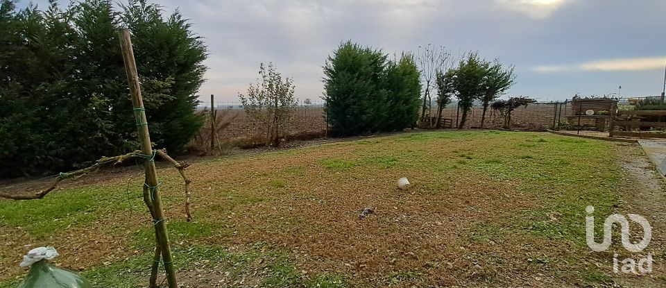 Casa indipendente / Villa 8 locali di 220 m² in Villanova Marchesana (45030)