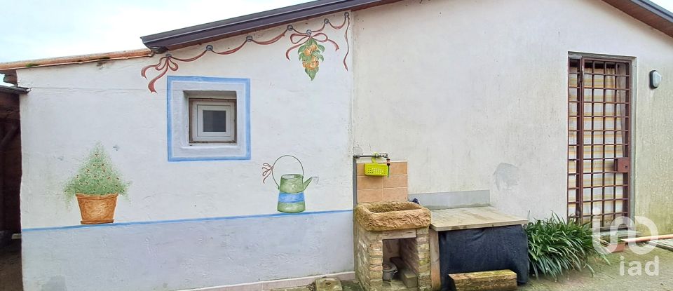 Casa indipendente / Villa 8 locali di 220 m² in Villanova Marchesana (45030)