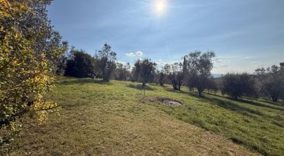 Casa indipendente / Villa 12 locali di 385 m² in Fiesole (50014)