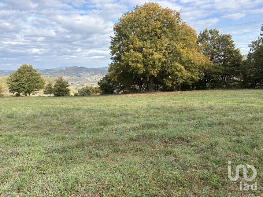 Terreno di 25.000 m² in Apecchio (61042)
