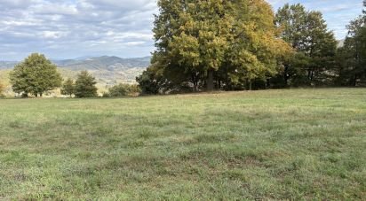Terreno di 25.000 m² in Apecchio (61042)