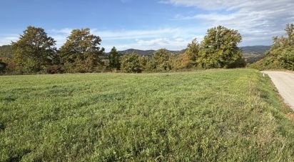 Terreno di 25.000 m² in Apecchio (61042)