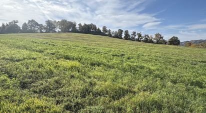 Terreno di 25.000 m² in Apecchio (61042)