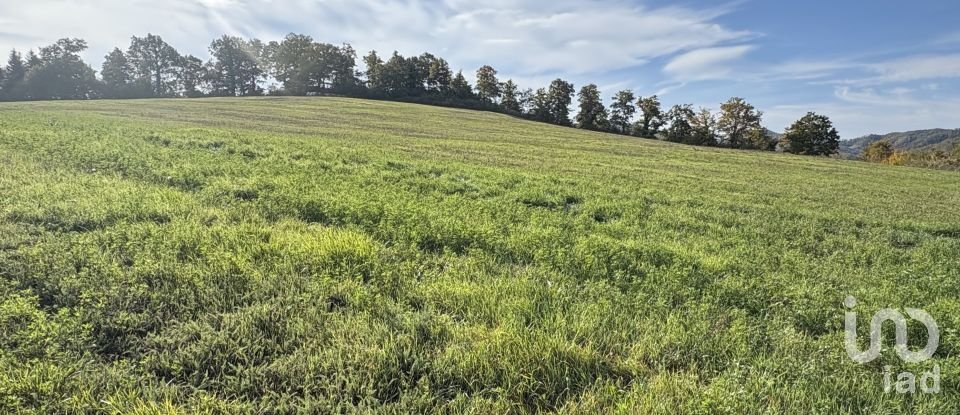 Terreno di 25.000 m² in Apecchio (61042)