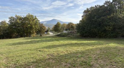 Terreno di 25.000 m² in Apecchio (61042)