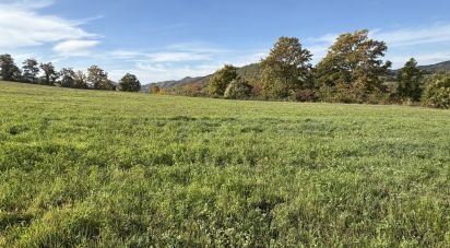 Terreno di 25.000 m² in Apecchio (61042)