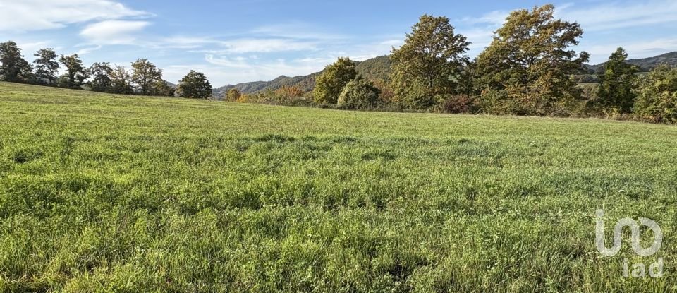 Terreno di 25.000 m² in Apecchio (61042)