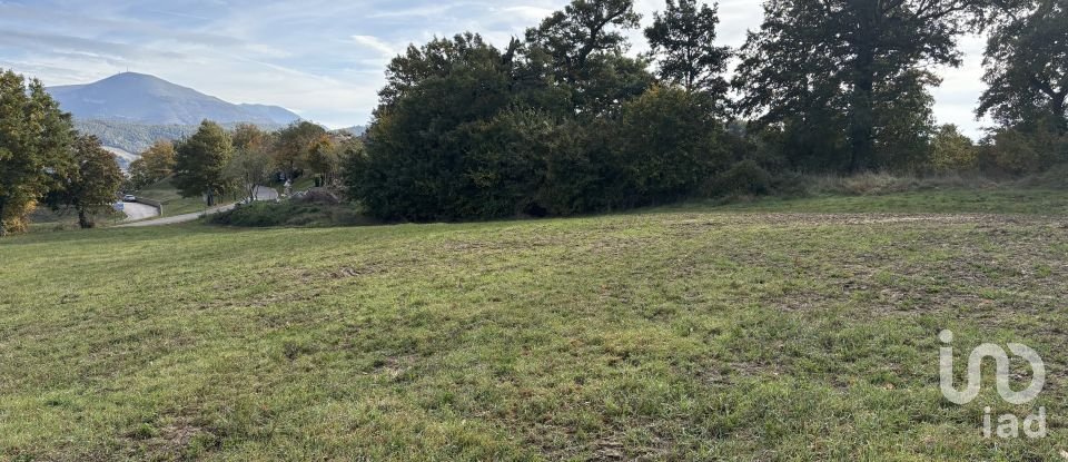 Terreno di 25.000 m² in Apecchio (61042)