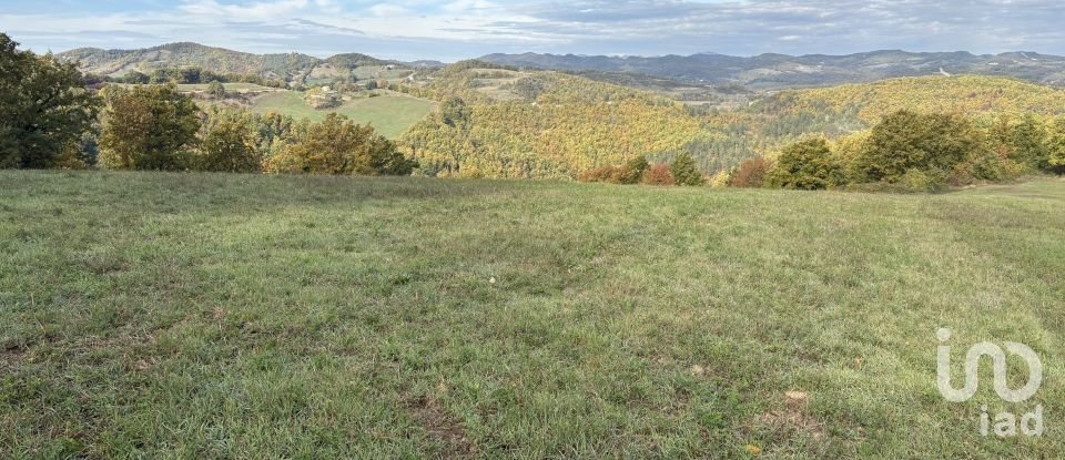Terreno di 25.000 m² in Apecchio (61042)