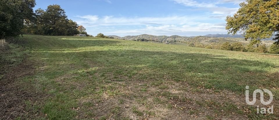 Terreno di 25.000 m² in Apecchio (61042)