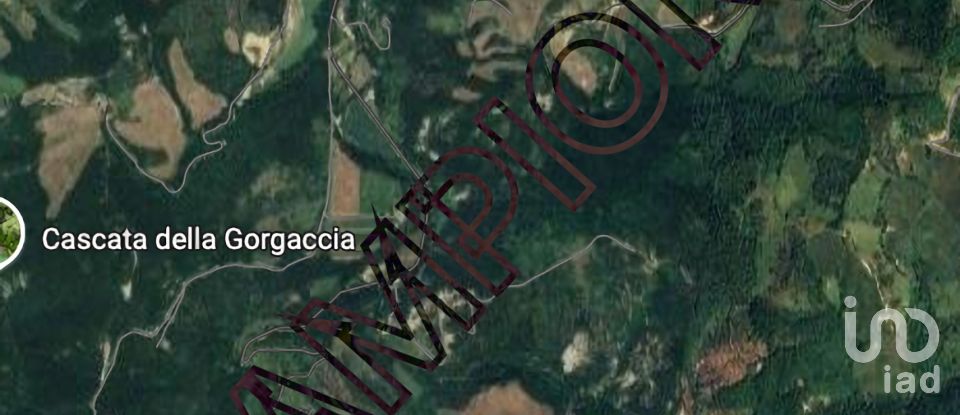 Terreno di 25.000 m² in Apecchio (61042)