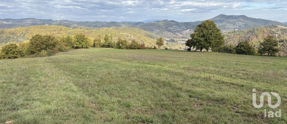 Terreno di 25.000 m² in Apecchio (61042)