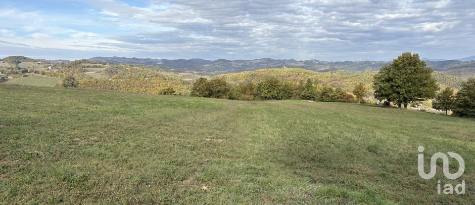 Terreno di 25.000 m² in Apecchio (61042)