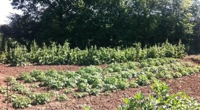 Casa indipendente 10 locali di 284 m² in Osimo (60027)