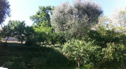 Casa indipendente 10 locali di 284 m² in Osimo (60027)