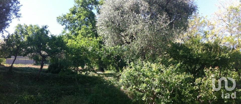 Casa indipendente 10 locali di 284 m² in Osimo (60027)