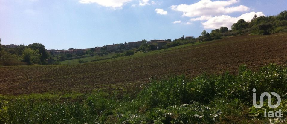 Casa indipendente 10 locali di 284 m² in Osimo (60027)