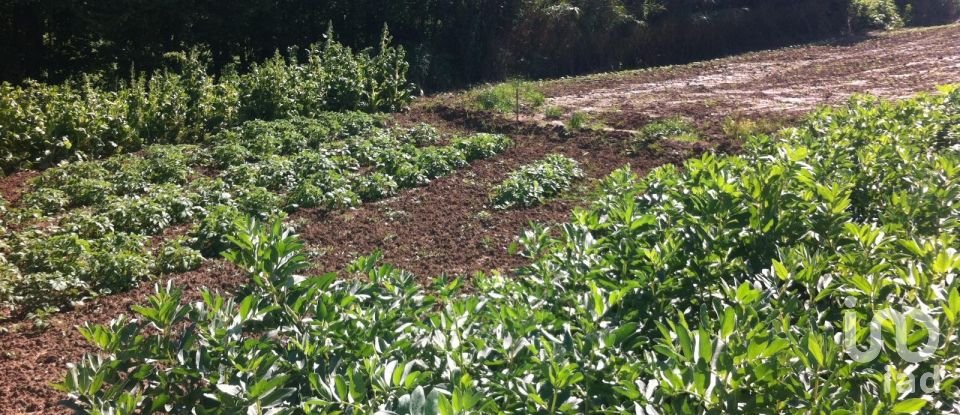 Casa indipendente 10 locali di 284 m² in Osimo (60027)