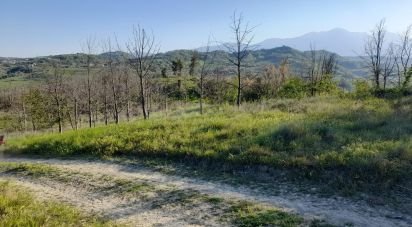 Terreno di 280.000 m² in Montefino (64030)