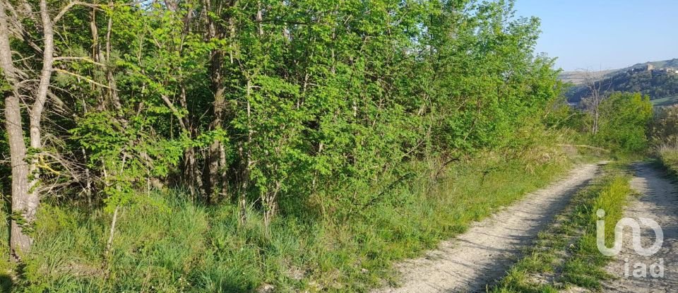 Land of 280,000 m² in Montefino (64030)