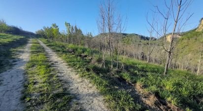 Terreno di 280.000 m² in Montefino (64030)