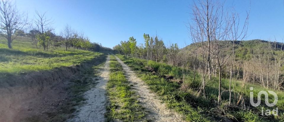 Land of 280,000 m² in Montefino (64030)