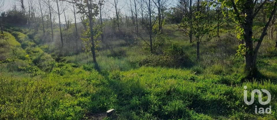 Land of 280,000 m² in Montefino (64030)