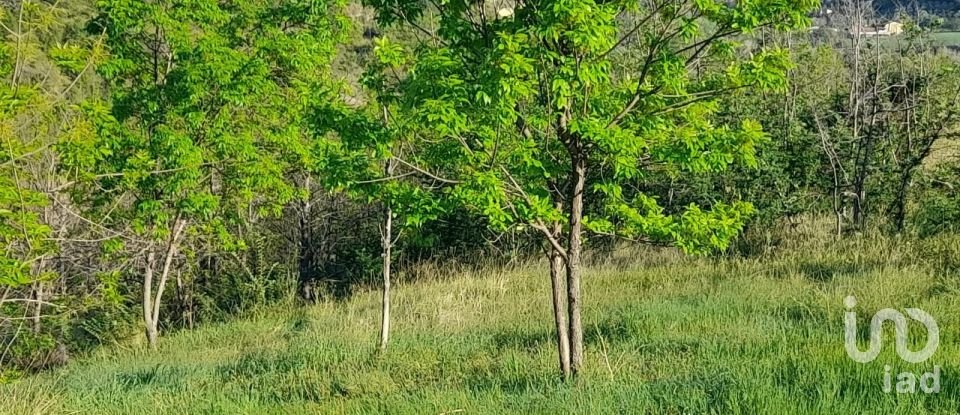 Land of 280,000 m² in Montefino (64030)